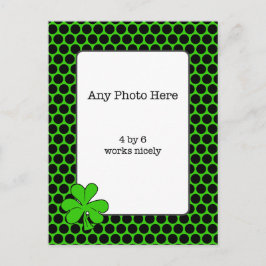 Irländsk Shamrock Foto Postkort Vykort