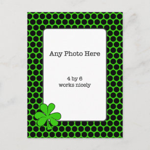 Irländsk Shamrock Foto Postkort Vykort