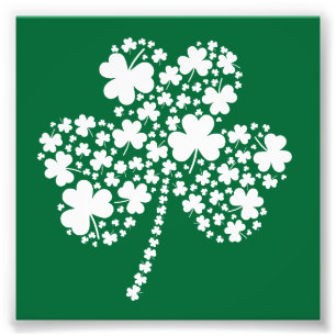 Irländsk Shamrockklöver för st patrick's day Fototryck