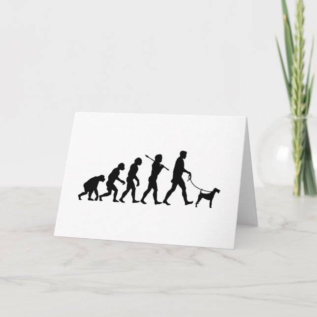 Irländsk Terrier Kort (Framsida)