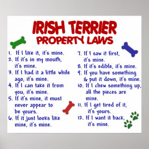 IRLÄNDSK TERRIER PL2 POSTER