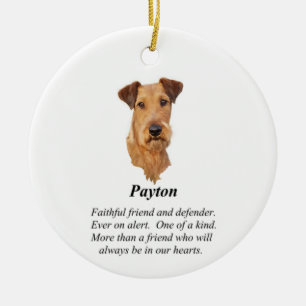 Irländsk terrier Rainbow Bridge keramisk prydnad Julgransprydnad Keramik