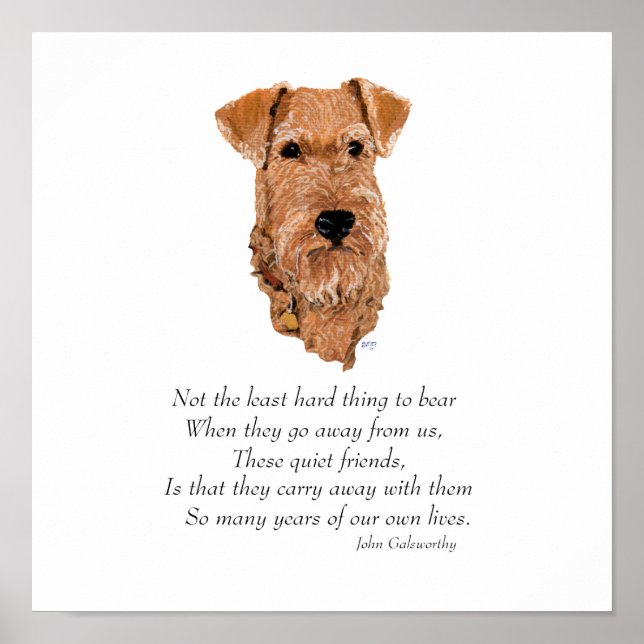 Irländsk Terrier Rainbow Bridge Poster (Framsidan)
