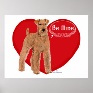 Irländsk terrier Valentine Poster