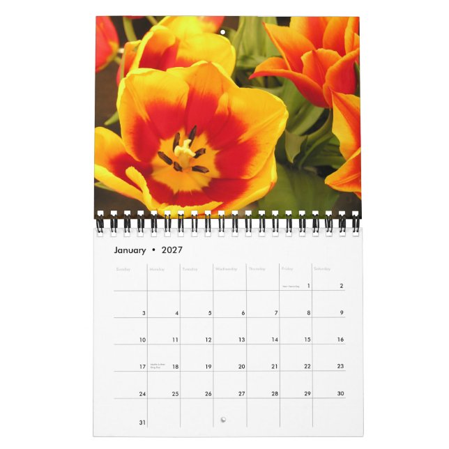 Irländsk tulpanfestivalkalender kalender (Jan 2027)