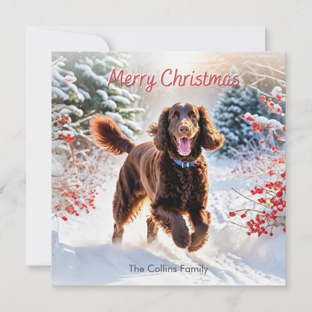Irländsk vattenspaniel i snö Julen glad jul (Framsida)
