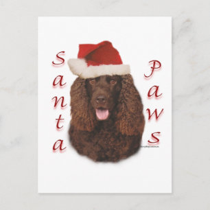 Irländsk vattenspaniel Santa Paws Helg Vykort
