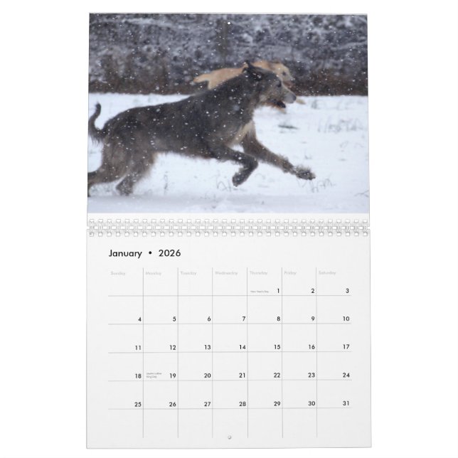 Irländsk Wolfhound 2012 Kalender (Jan 2026)