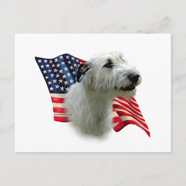Irländsk Wolfhound Flagga Vykort (Framsida)