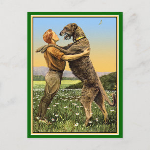 Irländsk Wolfhound Hälsning Vykort