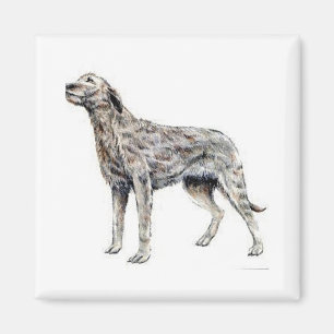 Irländsk Wolfhound Magnet