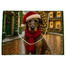 Irländsk Wolfhound Semester