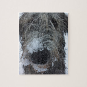 irländsk wolfhound som leker i snön pussel