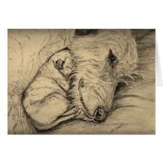 Irländsk Wolfhoundmor och valp OBS Kort