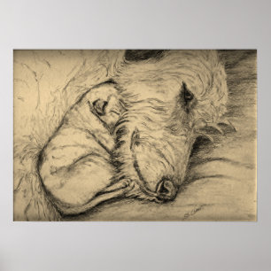 Irländsk Wolfhoundmor och valp Poster