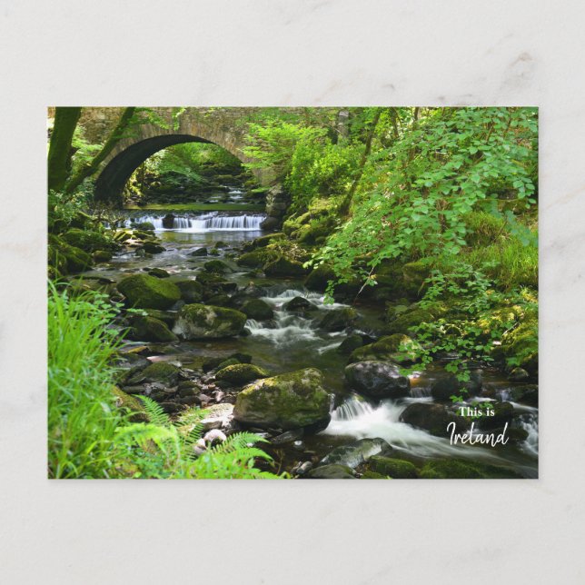 Irländska grönt- Irland Vykort (Framsida)