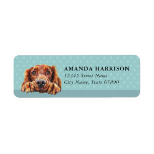 Irländska Setter Hund Returadressetiketter Returadress Etikett