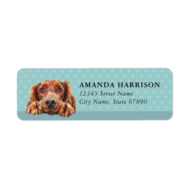 Irländska Setter Hund Returadressetiketter Returadress Etikett (Framsidan)