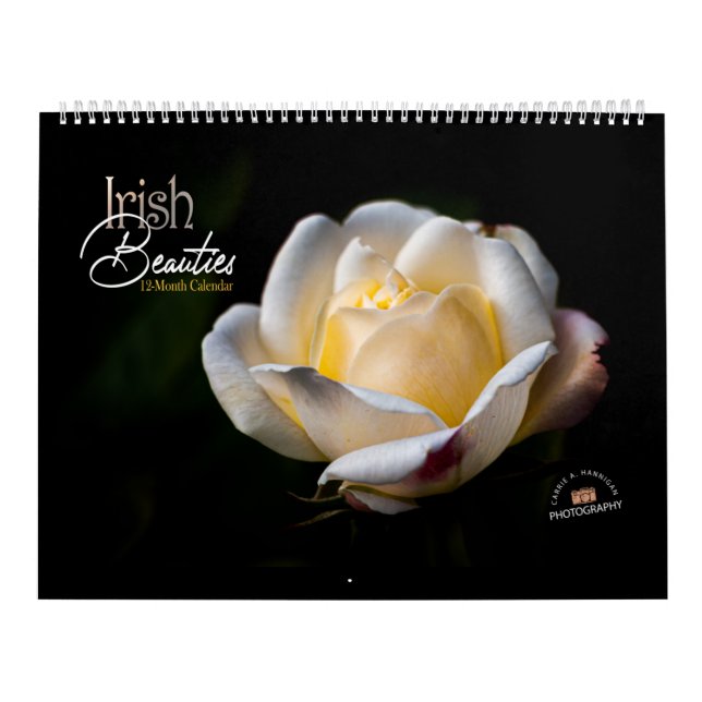 Irländska skönheter kalender (Omslag)