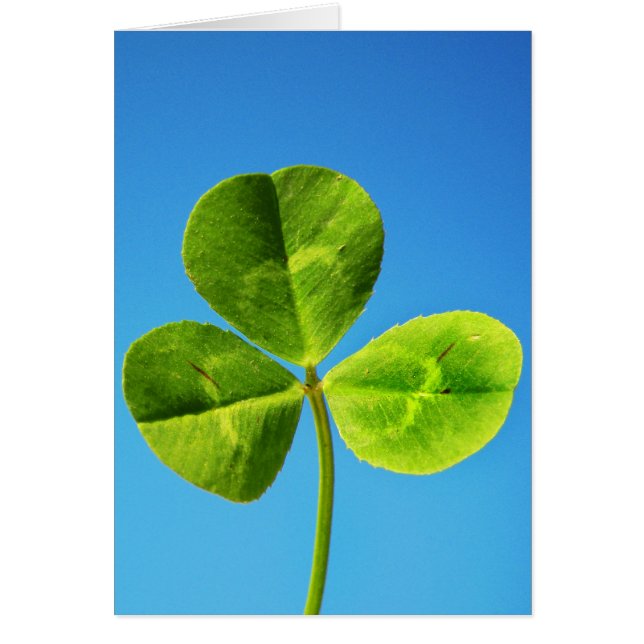 Irländska tur hälsningskort (Framsidan)