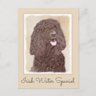 Irländska Vatten-färgremsan - Original Hund Art Vykort