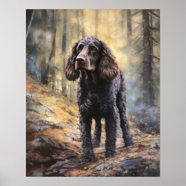 Irländska Vatten Spanska Hund Art Print Poster (Framsidan)