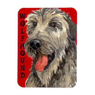 Irländska Wolfhound Färg Block Magnet