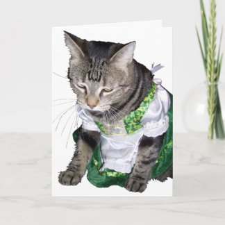 Irländskt kattunge/leprechaun-har-kort kort