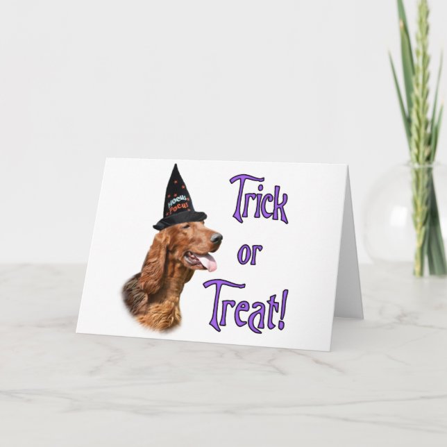 Irländskt Settertrick Kort (Framsida)