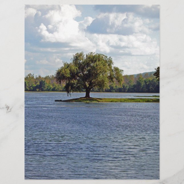 Iron Mountain Lake (Framsida)