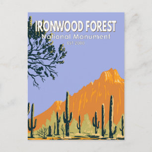 Ironwood Forest National Monument Arizona Vintage Vykort