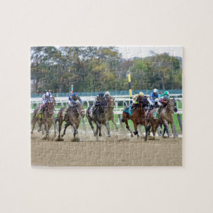Iroquios Stakes - Empire Showcase Day Pussel