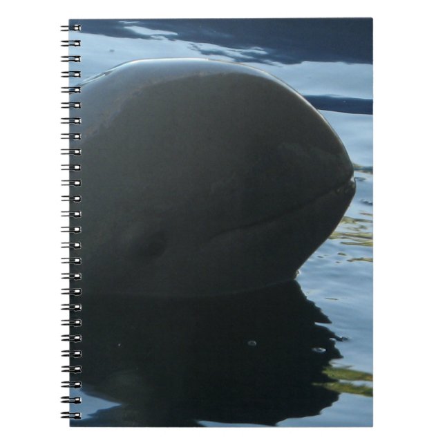 Irrawaddy Dolphin Peek-A-Boo Anteckningsbok Med Spiral (Framsidan)