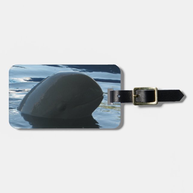 Irrawaddy Dolphin Peek-A-Boo Bagagebricka (Horisontell Framsida)