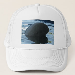 Irrawaddy Dolphin Peek-A-Boo Keps