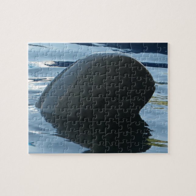 Irrawaddy Dolphin Peek-A-Boo Pussel (Horisontell)