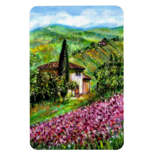 IRSES I TUSCANY MAGNET
