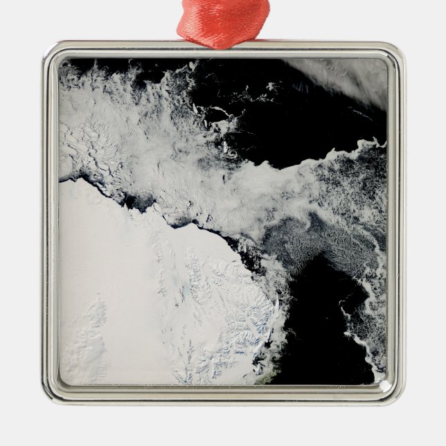 Is i södra oceanen julgransprydnad metall (Framsidan)