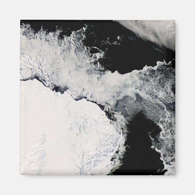 Is i södra oceanen magnet (Framsidan)