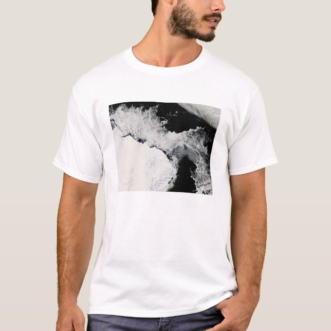 Is i södra oceanen t-shirt (Framsida)