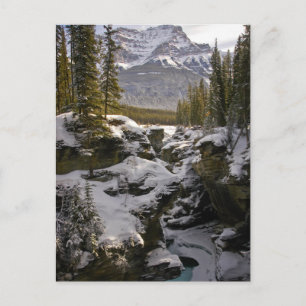 Is & Snö Jasper National Park Alberta, Kanada Vykort