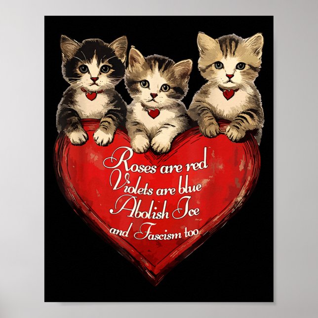 Is ut nu avskaffa is rolig katt meme män kvinnor  poster (Framsidan)