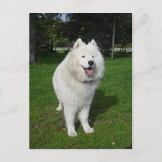 Is uthärdar… vykort