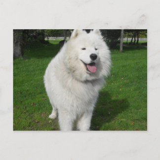 Is uthärdar… vykort