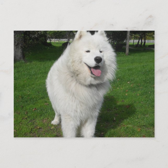 Is uthärdar… vykort (Framsida)