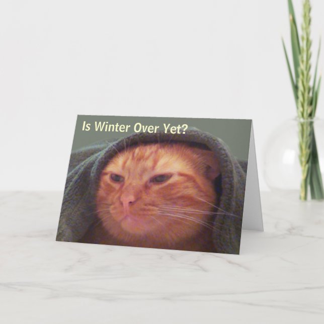 Is Winter Over Yet? Cat Greeting Card Helgkort (Framsida)