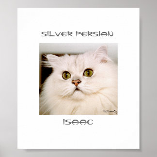 Isaac, en utomordentlig Silver persian Poster