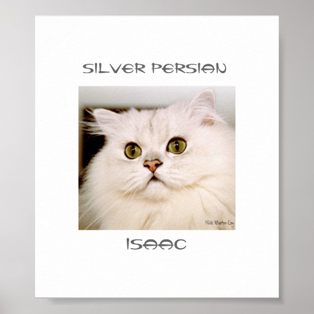 Isaac, en utomordentlig Silver persian Poster (Framsidan)