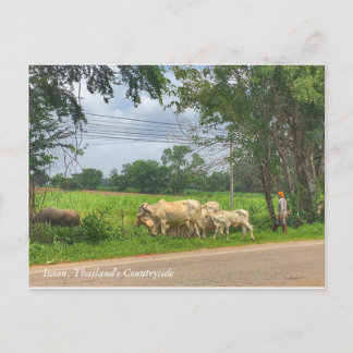 Isaan, Thailand, Countryside Vykort