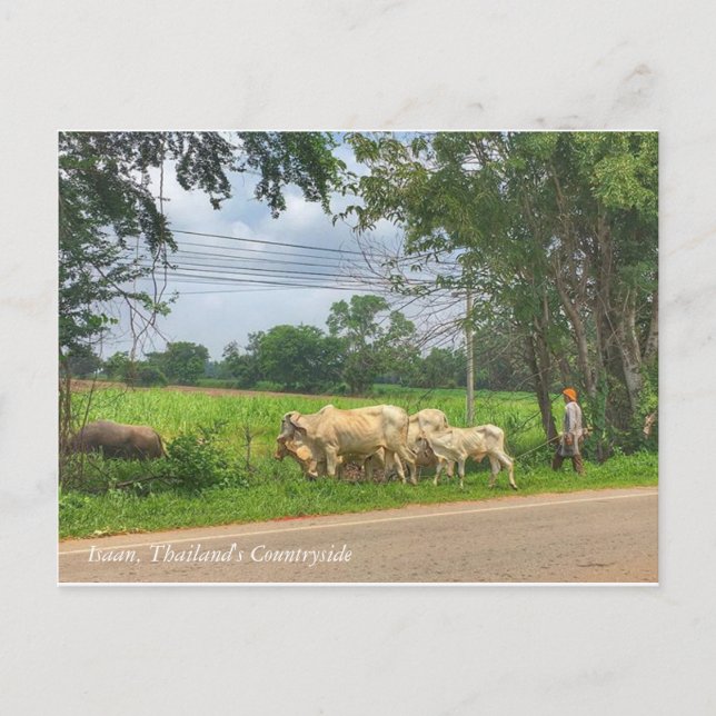 Isaan, Thailand, Countryside Vykort (Framsida)